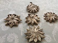Load image into Gallery viewer, Misfit Palm Blossoms