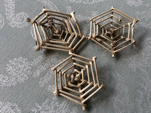 Load image into Gallery viewer, Natural Large Grapevine Web