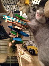 Load image into Gallery viewer, Wallflower - Chinchilla/Rat/Degu/Rabbit/Guinea Pig Chew Toy