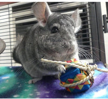Load image into Gallery viewer, Chinnie Pressie – Chewable Birthday / Gotcha Day / Unbirthday Present for Chinchillas/Rats/Rabbits/Guinea Pigs/Degu/Hamster/Gerbil Chew Toy