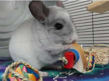 Load image into Gallery viewer, Chin 'Cheesecake' - one slice - Chinchilla/Rat/Degu/Rabbit/Guinea Pig/Hamster Chew Toy