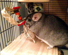 Load image into Gallery viewer, Chin Strap - Chinchilla/Rat/Degu/Rabbit/Guinea Pig/Hamster Chew Toy