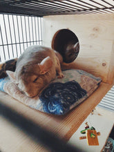 Load image into Gallery viewer, Corgi Pattern Lazy Chin Pillow/Bed - Chinchilla/Rat/Degu/Rabbit/Guinea Pig Accessory *LAST ONE!*