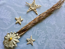 Load image into Gallery viewer, The Shooting Star - Chinchilla/Rat/Degu/Rabbit/Guinea Pig/Hamster Chew Toy