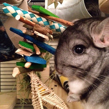 Load image into Gallery viewer, Wallflower - Chinchilla/Rat/Degu/Rabbit/Guinea Pig Chew Toy