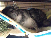 Load image into Gallery viewer, Light Green Bumble Bees / Cream All Anti-pill Fleece Hammock Pillow Bedding Set - Chinchilla / Rat / Degu Cage Accessory
