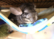 Load image into Gallery viewer, Grey Forest / Light Pink Large Chin-safe All Anti-Pill Fleece Hammock - Chinchilla / Rat / Degu Cage Accessory
