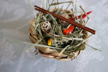 Load image into Gallery viewer, Chin Chew Bowl - Poké Bowl - Chinchilla/Degu/Rat/Rabbit/Guinea Pig/Hamster Chew Toy Toss Toy Cage Accessories