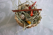 Load image into Gallery viewer, Chin Chew Bowl - Poké Bowl - Chinchilla/Degu/Rat/Rabbit/Guinea Pig/Hamster Chew Toy Toss Toy Cage Accessories