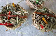 Load image into Gallery viewer, Chin Chew Bowl - Poké Bowl - Chinchilla/Degu/Rat/Rabbit/Guinea Pig/Hamster Chew Toy Toss Toy Cage Accessories