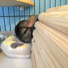 Load image into Gallery viewer, 2023 Chirping Chins' Christmas Stocking – Red or Snowflake Patterns - Chinchilla/Degu/Rat/Guinea Pig/Rabbit Chinchilla gift present