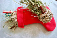Load image into Gallery viewer, 2023 Chirping Chins' Christmas Stocking – Red or Snowflake Patterns - Chinchilla/Degu/Rat/Guinea Pig/Rabbit Chinchilla gift present