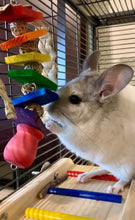 Load image into Gallery viewer, Pot o' Gold! - Kiln-Dried Pine, Grapevine, Palm Rainbow Hanging Chinchilla/Rat/Degu/Rabbit/Guinea Pig/Chew Toy Cage Accessory Gift