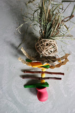 Load image into Gallery viewer, Venus Hay Trap - Chinchilla/Rat/Degu/Rabbit/Guinea Pig/Hamster Chew Toy