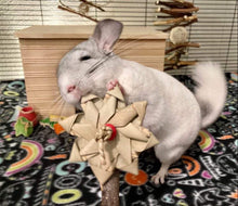 Load image into Gallery viewer, Chin Apple Garden - Apple Wood & Palm (pack of 3) - Chinchilla/Rat/Degu/Rabbit/Guinea Pig/Hamster Chew Toy Accessory