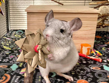 Load image into Gallery viewer, Chin Apple Garden - Apple Wood & Palm (pack of 3) - Chinchilla/Rat/Degu/Rabbit/Guinea Pig/Hamster Chew Toy Accessory