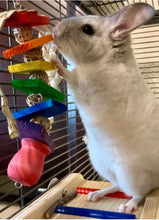 Load image into Gallery viewer, Pot o' Gold! - Kiln-Dried Pine, Grapevine, Palm Rainbow Hanging Chinchilla/Rat/Degu/Rabbit/Guinea Pig/Chew Toy Cage Accessory Gift