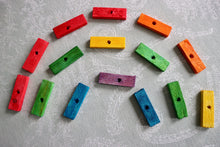 Load image into Gallery viewer, Mini Rainbow Bites (pack of 15) - Chinchilla/Rat/Degu/Rabbit/Guinea Pig/Squirrel/Hamster Chew Toy Cage Accessories Toss Toy