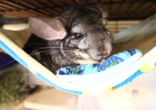 Load image into Gallery viewer, Large Chin-safe All Anti-Pill Fleece Hammock - Chinchilla / Rat / Degu Cage Accessory