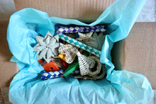 Load image into Gallery viewer, Pandora's Box (of Destruction!) Chinchilla/Rat/Degu/Rabbit/Guinea Pig/Hamster Chew Toy Cage Accessories Toss Toy Bundle Sampler