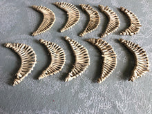 Load image into Gallery viewer, Natural Vine Croissant Moons (packs of 10) - Chinchilla/Rat/Degu/Rabbit/Guinea Pig/Squirrel/Hamster Chew Toy Cage Accessories Toss Toy