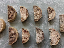 Load image into Gallery viewer, Misfit Yucca 'Cheesecake' Bases