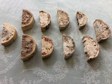 Load image into Gallery viewer, Misfit Yucca 'Cheesecake' Bases