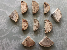 Load image into Gallery viewer, Misfit Yucca 'Cheesecake' Bases