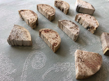 Load image into Gallery viewer, Misfit Yucca 'Cheesecake' Bases