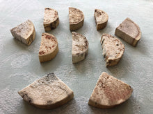 Load image into Gallery viewer, Misfit Yucca 'Cheesecake' Bases