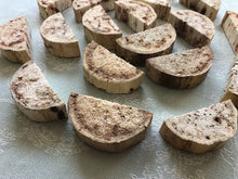 Load image into Gallery viewer, Misfit Yucca 'Cheesecake' Bases
