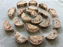 Load image into Gallery viewer, Misfit Yucca 'Cheesecake' Bases