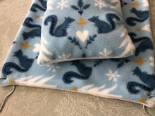 Load image into Gallery viewer, Winter Squirrel Hammock and Large Pillow Set