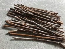 Load image into Gallery viewer, Thin Fuzzy Cottonwood Twiggy Bundles