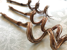 Load image into Gallery viewer, Willow Curly Q Chew (13 inches)
