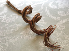 Load image into Gallery viewer, Willow Curly Q Chew (13 inches)
