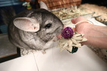 Load image into Gallery viewer, Blossom Bracelet – Chinchilla/Rat/Degu/Rabbit/Guinea Pig/Hamster Toss Toy
