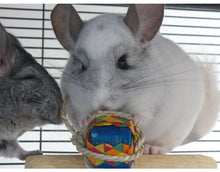 Load image into Gallery viewer, Chinnie Pressie – Chewable Birthday / Gotcha Day / Unbirthday Present for Chinchillas/Rats/Rabbits/Guinea Pigs/Degu/Hamster/Gerbil Chew Toy
