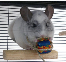 Load image into Gallery viewer, Chinnie Pressie – Chewable Birthday / Gotcha Day / Unbirthday Present for Chinchillas/Rats/Rabbits/Guinea Pigs/Degu/Hamster/Gerbil Chew Toy
