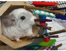 Load image into Gallery viewer, Rainbow Wood - Chinchilla/Rat/Degu/Rabbit/Guinea Pig/Hamster Chew Toy
