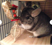 Load image into Gallery viewer, Chin Strap - Chinchilla/Rat/Degu/Rabbit/Guinea Pig/Hamster Chew Toy
