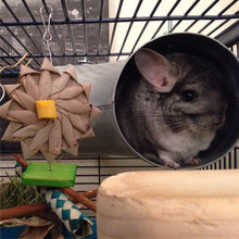 Load image into Gallery viewer, Wallflower - Chinchilla/Rat/Degu/Rabbit/Guinea Pig Chew Toy
