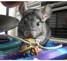 Load image into Gallery viewer, Chinnie Pressie – Chewable Birthday / Gotcha Day / Unbirthday Present for Chinchillas/Rats/Rabbits/Guinea Pigs/Degu/Hamster/Gerbil Chew Toy
