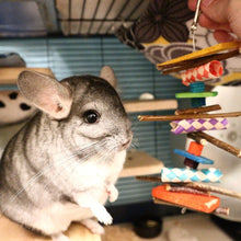 Load image into Gallery viewer, Rainbow Wood - Chinchilla/Rat/Degu/Rabbit/Guinea Pig/Hamster Chew Toy
