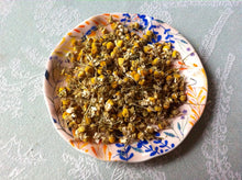 Load image into Gallery viewer, Chamomile Flowers (15g/.53oz.) - Chinchilla/Rat/Degu/Rabbit/Guinea Pig Treats
