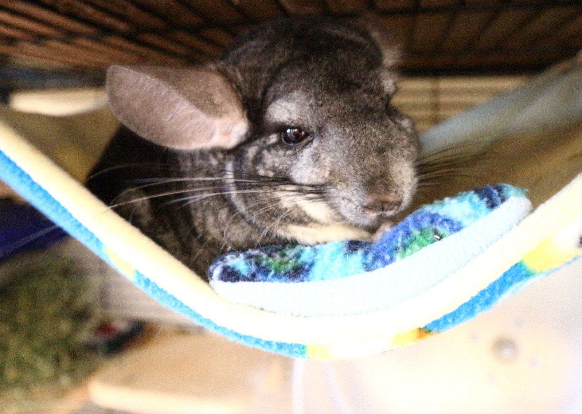 Large All Anti-Pill Fleece Hammock Chinchilla/Rat/Degu Cage Accessory – Chirping Chins