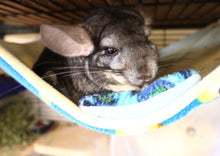 Load image into Gallery viewer, Large Chin-safe All Anti-Pill Fleece Hammock - Chinchilla / Rat / Degu Cage Accessory
